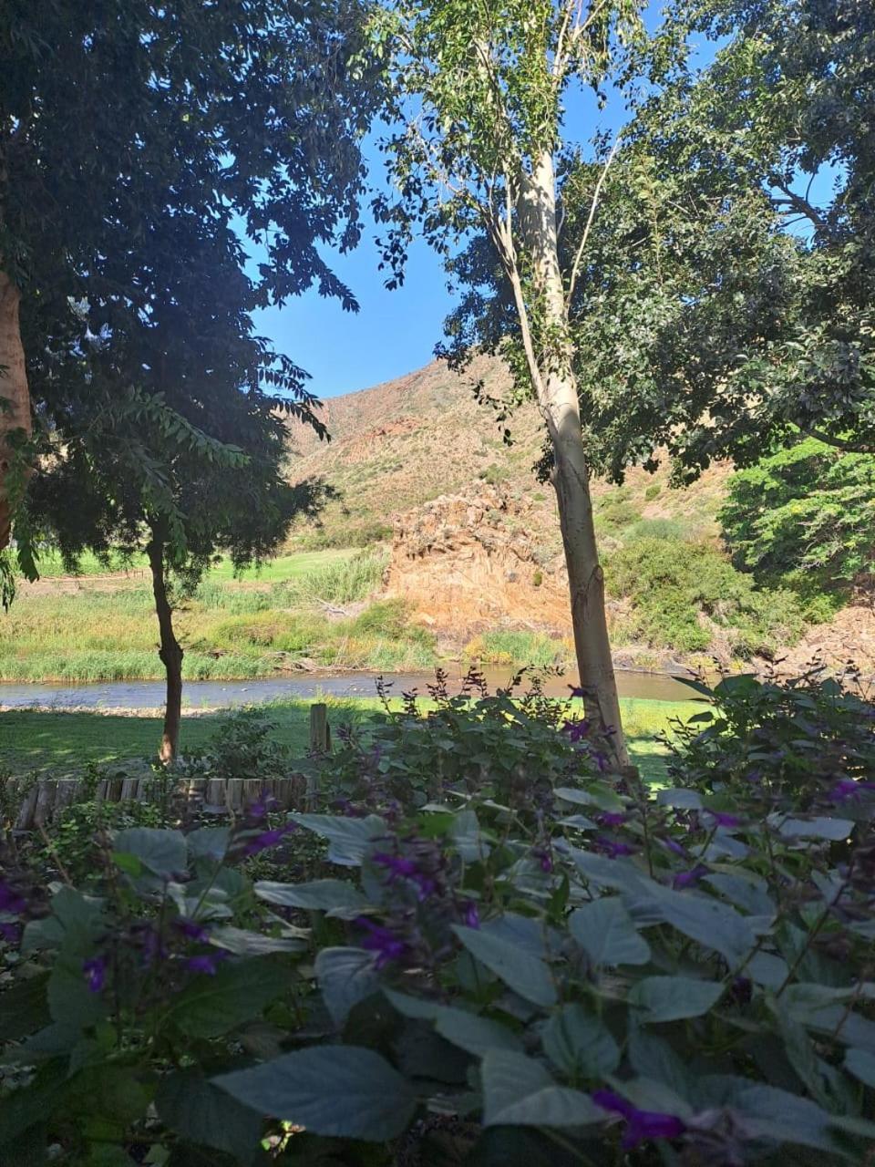 Olifantskrans River Cabins Bonnievale Εξωτερικό φωτογραφία